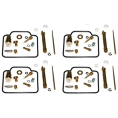 Vergaser Reparatursatz für gängige Modelle