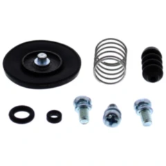 Membranventil Satz für Beschleunigerpumpe All Balls Racing