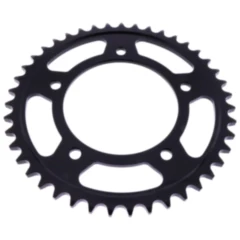 Kettenrad 43Z für: Esjot