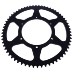 Kettenrad 62Z Teilung 420 Innendurchmesser 108 Lochkreis 123 passend für: Derbi Senda, GPR