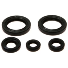 Wellendichtring Satz Athena passend für: KTM Duke