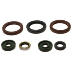 Wellendichtring Satz für Motoren von Athena