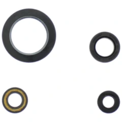 Wellendichtring Satz für Motoren von Athena 7342047