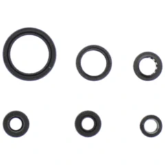 Wellendichtring Satz für Motoren 7342055