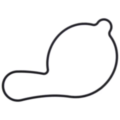 Dichtung Wasserpumpe Deckel Athena passend für: Gas Gas EC