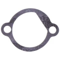 Dichtung für Steuerkettenspanner Athena 7344841