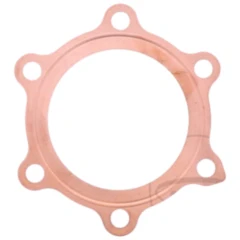 Zylinderkopfdichtung für On- und Offroad-Motorräder 7346176