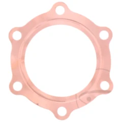 Zylinderkopfdichtung Originalersatzteil für Motorräder 7346181
