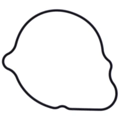 Dichtung Wasserpumpe Deckel Originalersatzteil passend für: Honda CBR