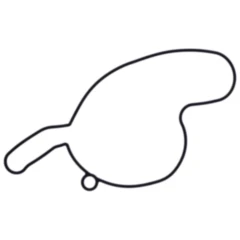 Dichtung Wasserpumpe Deckel Originalersatzteil passend für: Honda CRF, CMX, NT