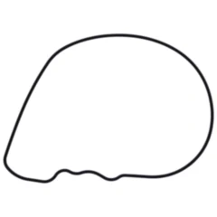 Wasserpumpendeckeldichtung Originalersatzteil 7347398