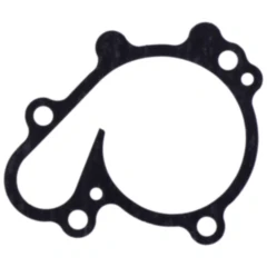 Wasserpumpendeckeldichtung Originalersatzteil 7347406