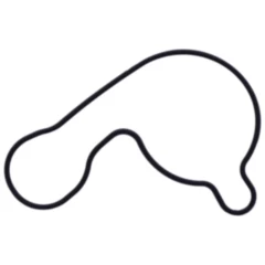 Dichtung Wasserpumpe Deckel Originalersatzteil passend für: Yamaha CZD, MWD