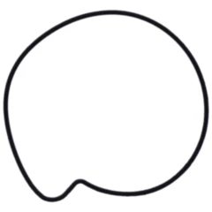 Dichtung Wasserpumpe Deckel Originalersatzteil passend für: BMW C