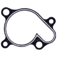 Wasserpumpendeckeldichtung für Motorräder 7347449