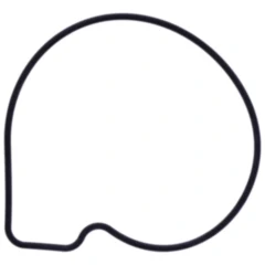 Wasserpumpendeckeldichtung Originalersatzteil für Motorräder 7347508