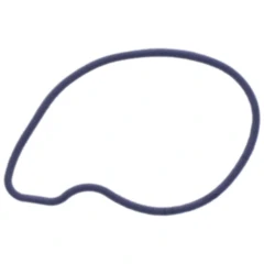 Dichtung Wasserpumpe Deckel Originalersatzteil passend für: Daelim QL