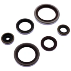 Wellendichtring Satz Athena passend für: Beta RR 7348073