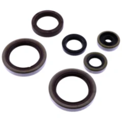 Wellendichtring Satz Athena passend für: Beta RR 7348100