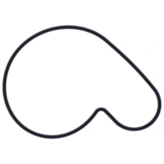 Dichtung Wasserpumpe Deckel Originalersatzteil passend für: Beta Evo, REV3