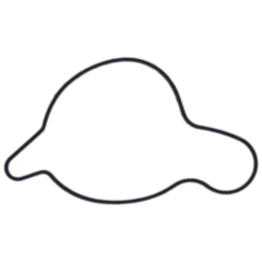 Dichtung Wasserpumpe Deckel Originalersatzteil passend für: Beta RR 7348355