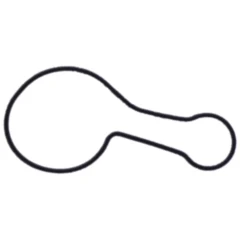 Dichtung Wasserpumpe Deckel Originalersatzteil passend für: Beta RR, Xtrainer, RX