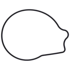 Wasserpumpe Deckel Dichtung Original Ersatzteil 7348391