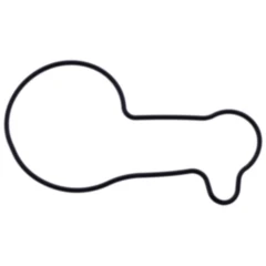 Dichtung Wasserpumpe Deckel Athena passend für: Beta RR 7349206