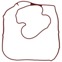 Lichtmaschinendeckeldichtung Originalersatzteil passend für: Indian Scout, Scout Sixty