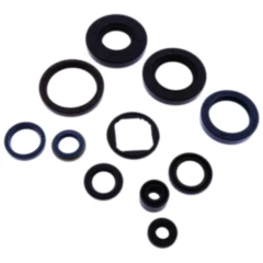 Wellendichtring Satz Athena passend für: Cagiva Mito, Supercity, N1