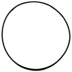 O - Ring 2X100MM Athena passend für: Kawasaki KVF, KFX