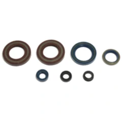 Wellendichtring Satz für Motoren 7355761