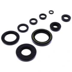 Wellendichtring Satz für Motoren 7356355