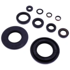 Wellendichtring Satz für Motoren