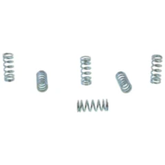 Kupplungsfedern verstärkt TRW Inhalt 6 Stück passend für: Yamaha DT, FS1, RD