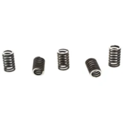 Kupplungsfedern verstärkt TRW Inhalt 5 Stück passend für: Suzuki GZ, GN