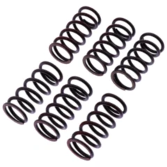 Kupplungsfedern verstärkt TRW Inhalt 6 Stück passend für: Kawasaki ZX - 10R