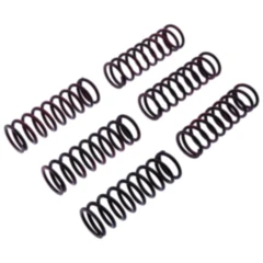Kupplungsfedern verstärkt TRW Inhalt 6 Stück passend für: BMW F (800, 650, 700)