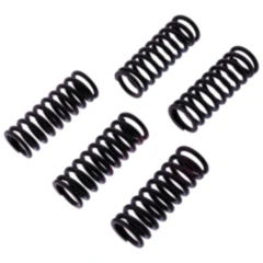 Kupplungsfedern verstärkt TRW Inhalt 5 Stück passend für: Honda CBR