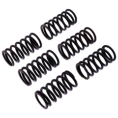 Kupplungsfedern verstärkt TRW Inhalt 6 Stück passend für: Ducati Monster, Supersport, 748