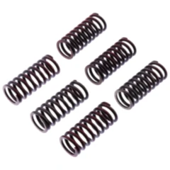 Kupplungsfedern verstärkt TRW Inhalt 6 Stück passend für: Ducati Scrambler, Monster, Hypermotard