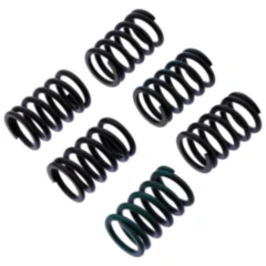 Kupplungsfedern verstärkt TRW Inhalt 6 Stück passend für: Kawasaki ZZR