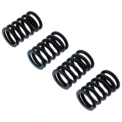 Kupplungsfedern verstärkt TRW für Motorräder 7380618