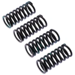 Kupplungsfedern verstärkt TRW für Motorräder 7380620