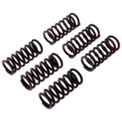 Kupplungsfeder-Kit verstärkt TRW für Motorräder 7380655