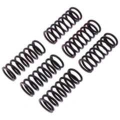 Kupplungsfedern verstärkt TRW Inhalt 6 Stück passend für: Aprilia Tuono, RSV4