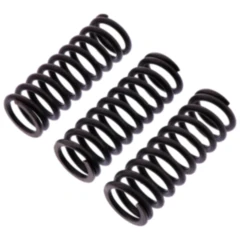 Kupplungsfedern verstärkt TRW Inhalt 3 Stück passend für: Honda MSX, Z