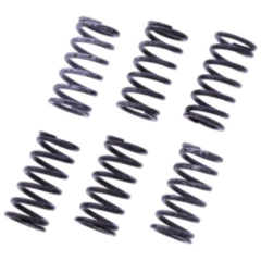 Kupplungsfedern verstärkt TRW Inhalt 6 Stück passend für: MV Agusta F3, Brutale, F4