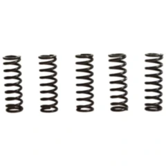 Kupplungsfedern verstärkt TRW Inhalt 5 Stück passend für: Honda CBF, CB, CBR