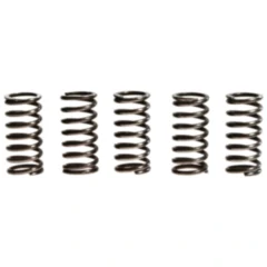 Kupplungsfedern verstärkt TRW Inhalt 5 Stück passend für: Honda CRF, CR, XLV
